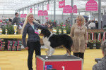 23-03-2013: Leiden:Malone best veteran in show.